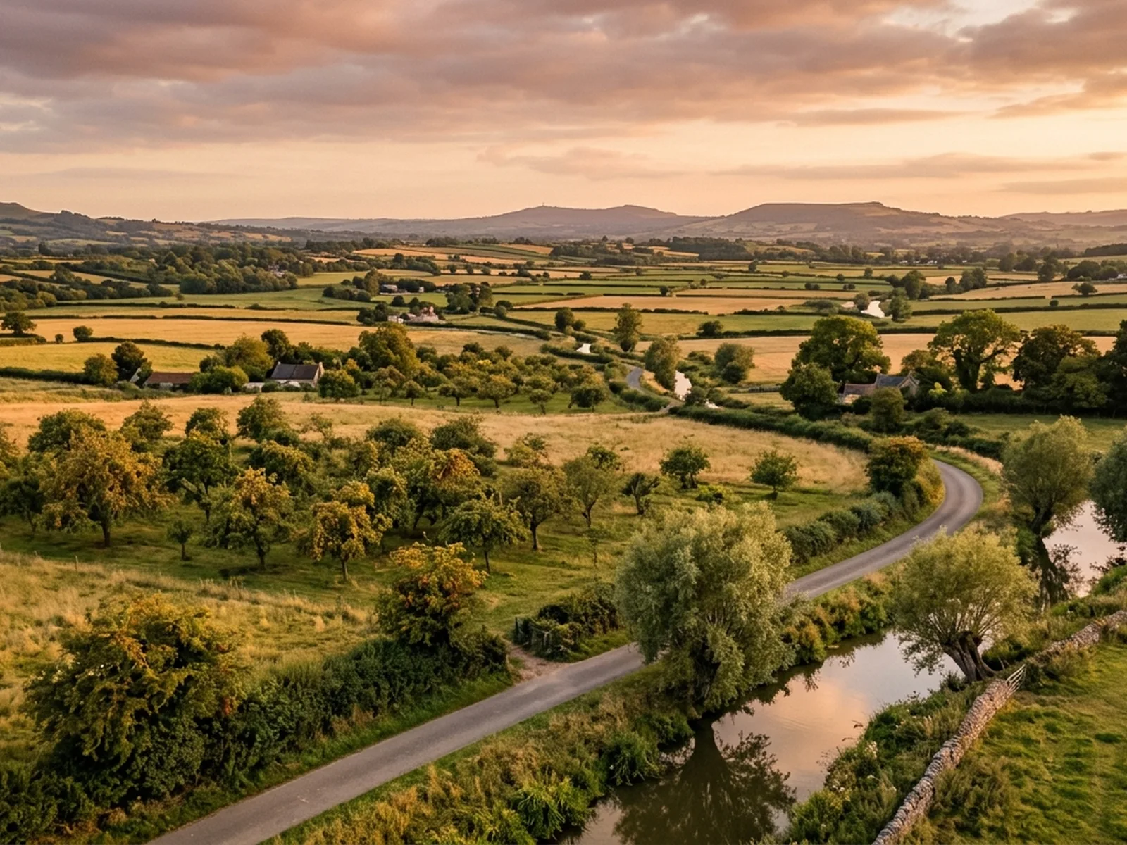 Builders in Somerset